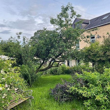 Ynyswen Bed & Breakfast Nantgaredig Экстерьер фото