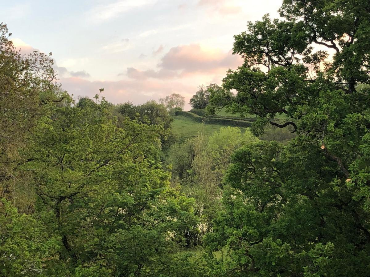 Ynyswen Bed & Breakfast Nantgaredig Экстерьер фото