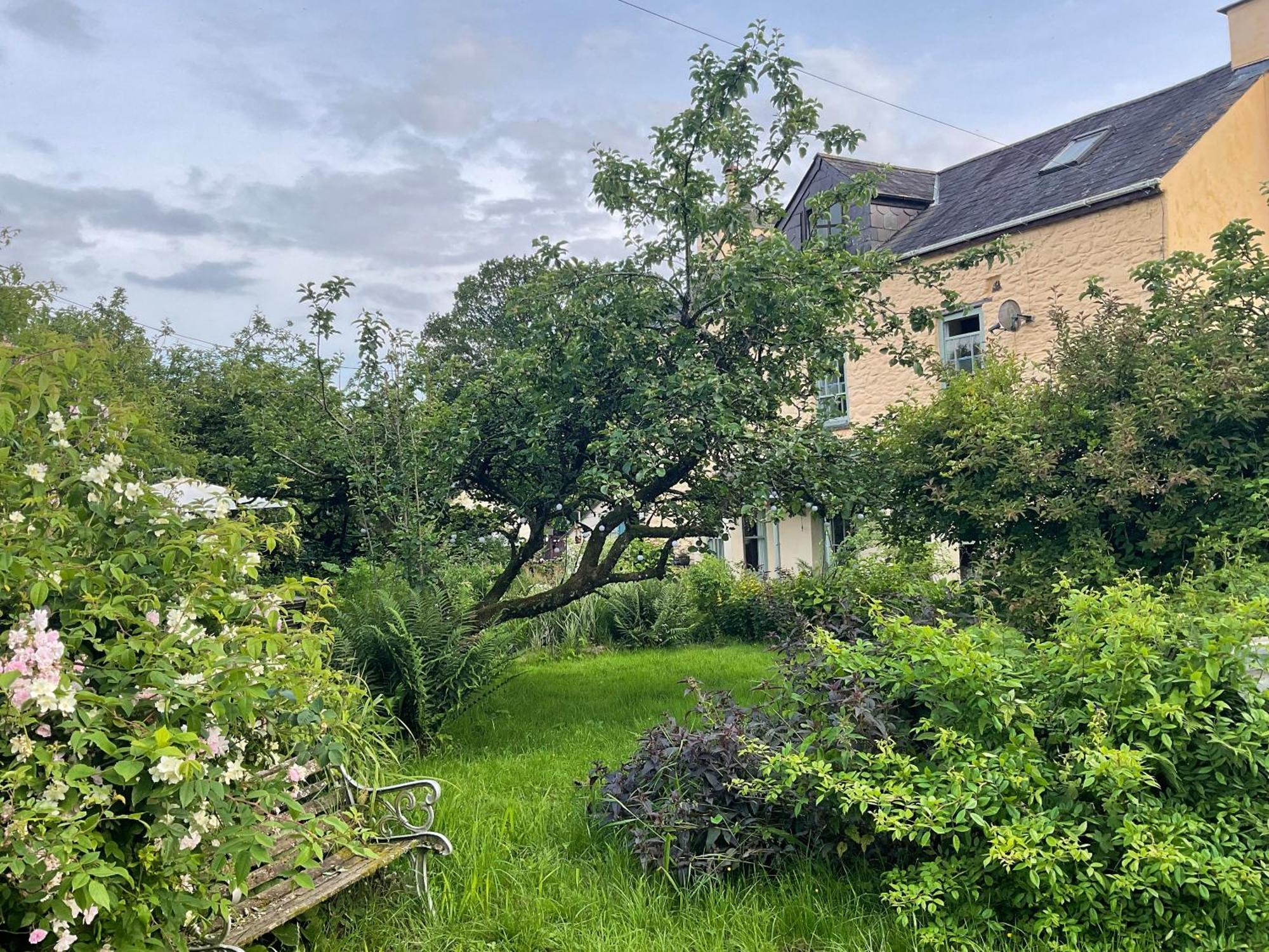 Ynyswen Bed & Breakfast Nantgaredig Экстерьер фото